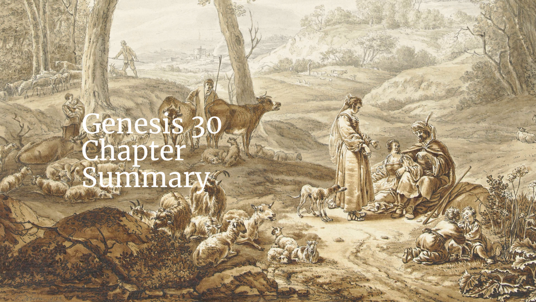 Genesis 30 Chapter Summary: Rachel and Leah Give Birth
