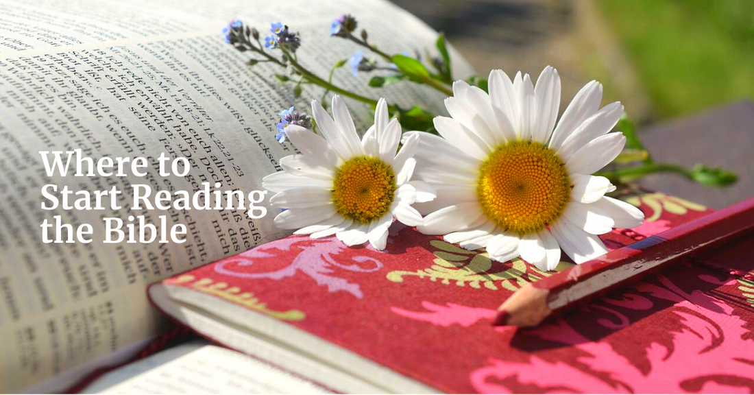 Where to Start Reading the Bible