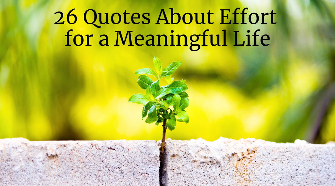 26 Quotes About Effort for a Meaningful Life