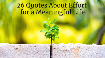 26 Quotes About Effort for a Meaningful Life