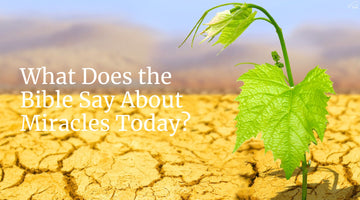 What Does the Bible Say About Miracles Today?