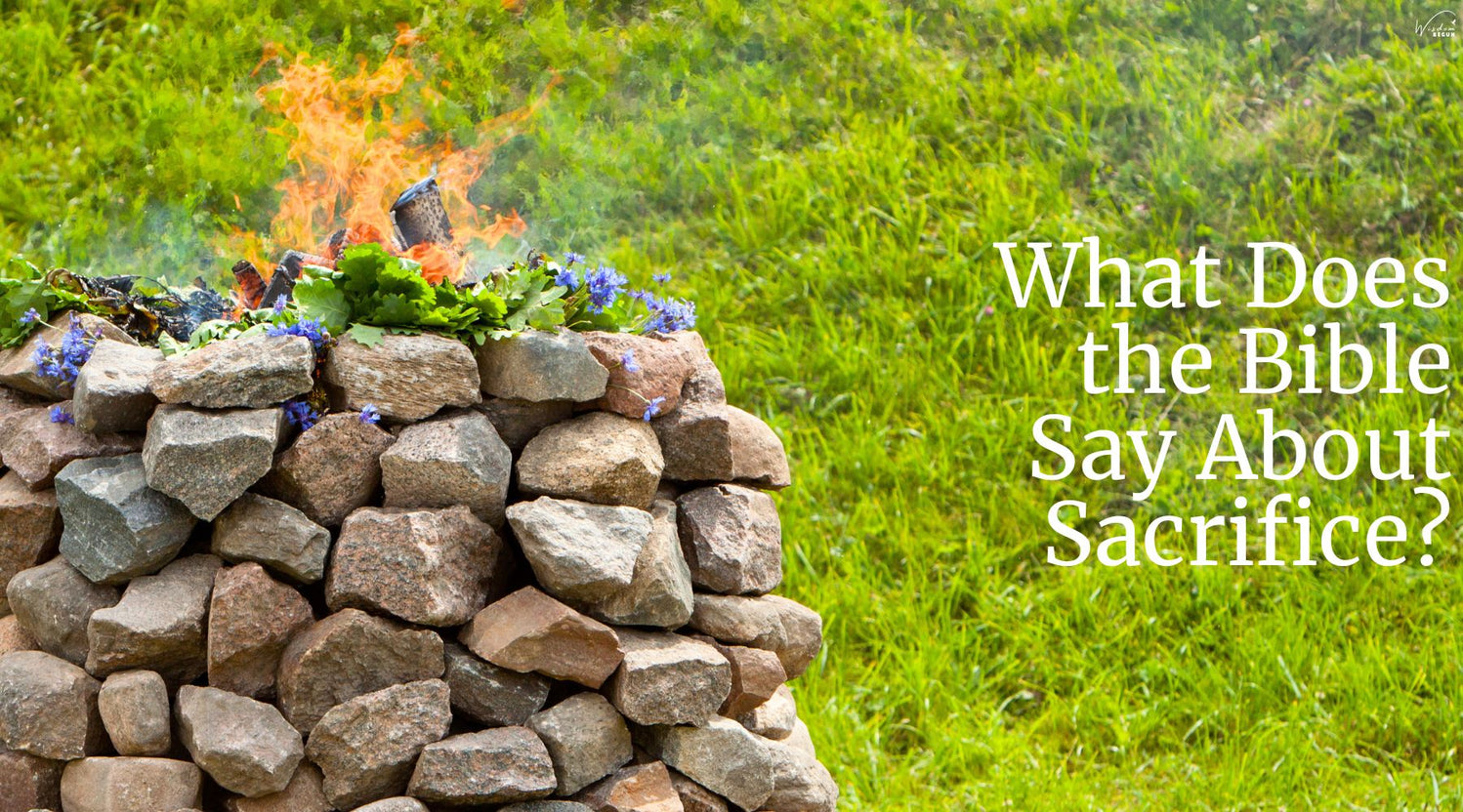 What Does the Bible Say About Sacrifice? Wisdom Begun