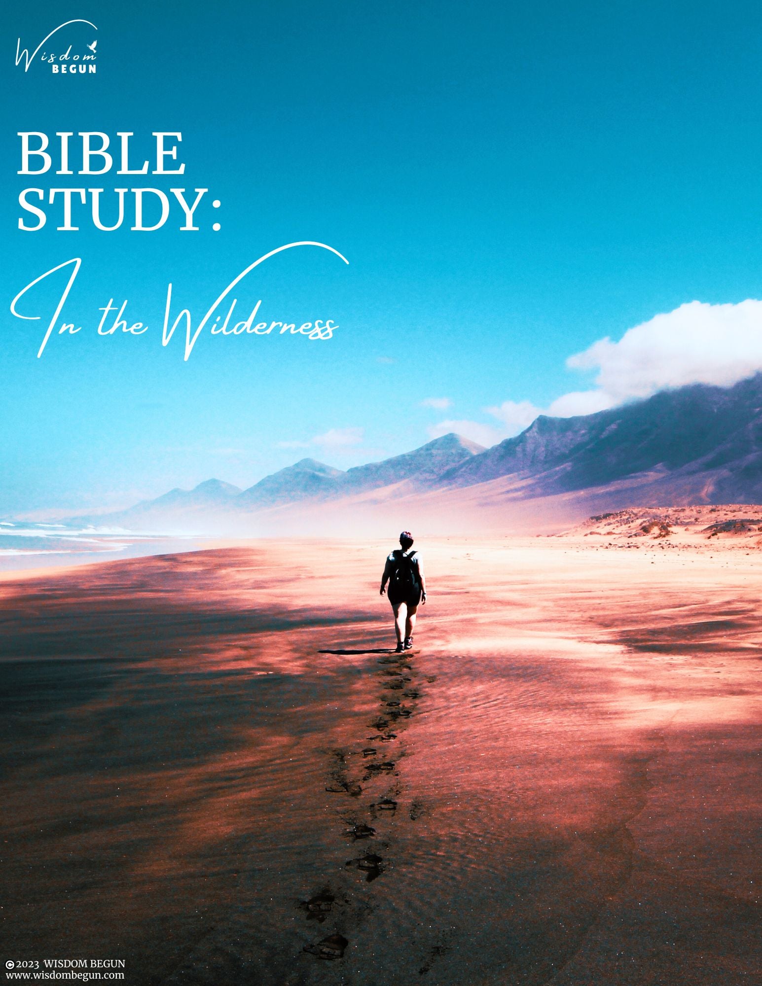 Bible Study: In the Wilderness
