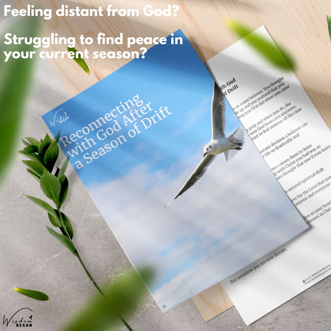 The Soul Renewal Bundle – 6 Faith-Based Resources for Encouragement, Healing & Discipleship