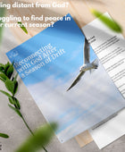 The Soul Renewal Bundle – 6 Faith-Based Resources for Encouragement, Healing & Discipleship