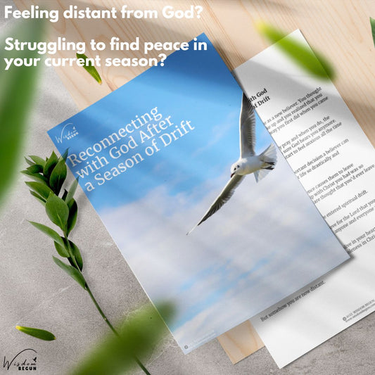 The Soul Renewal Bundle – 6 Faith-Based Resources for Encouragement, Healing & Discipleship