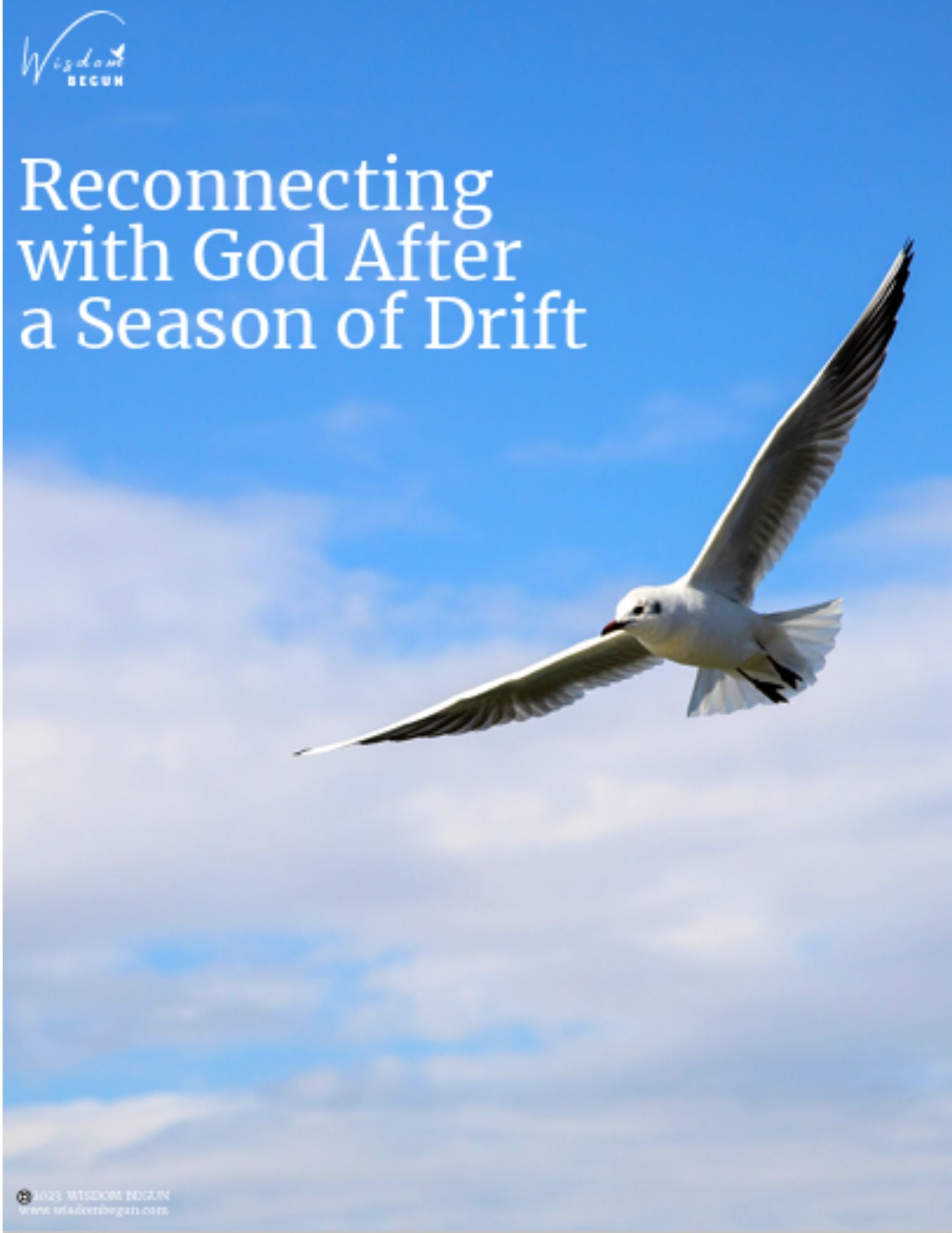 Reconnecting with God After a Season of Drift ebook